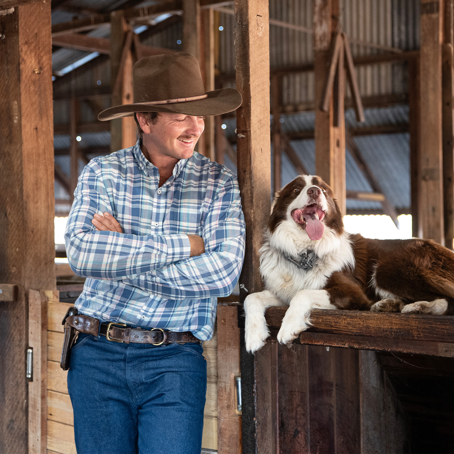 Jeremy Kinnon looking at Banjo the dog