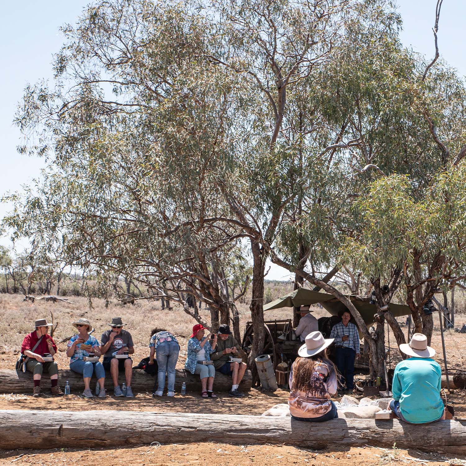 A group of people sitting on logs eating food under a tree